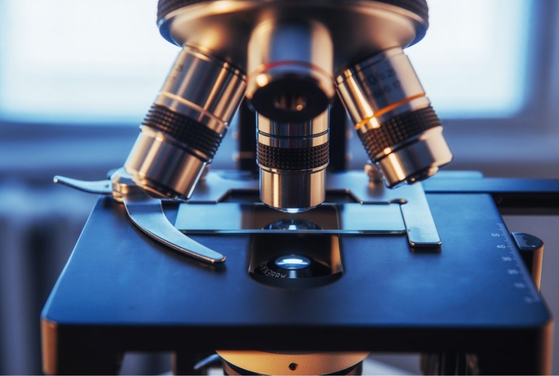 DSC 4546 80439 original protected