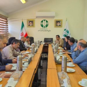 WhatsApp Image 2025 07 09 at 10.52.43 AM